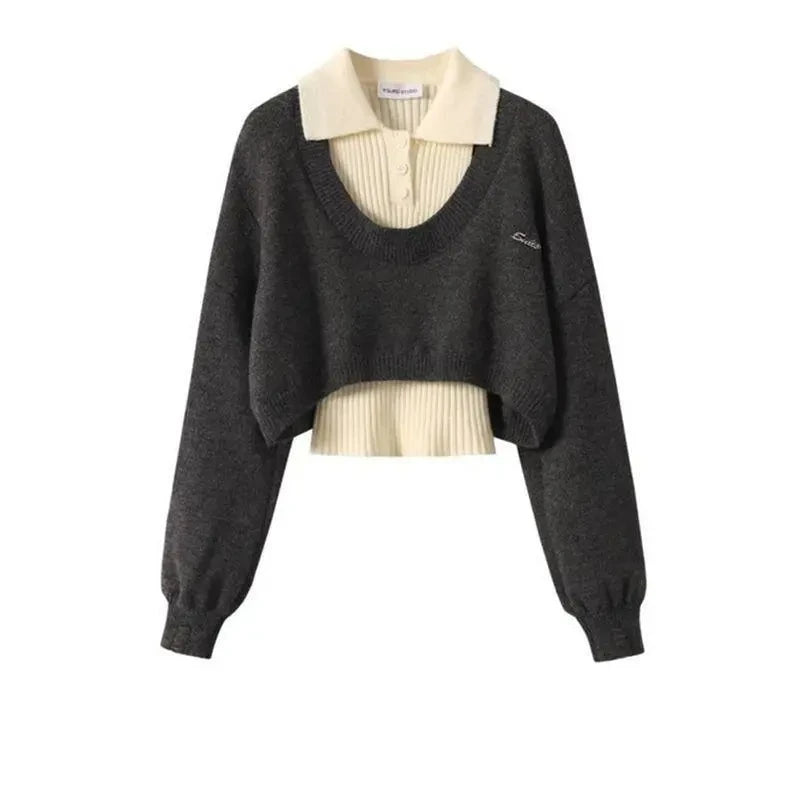 Fashion Women Short Sweater Women's Autumn Winter Wear Two-Piece Set Knitted Sweater And Vest Top outfit knitted Pullover Shirt