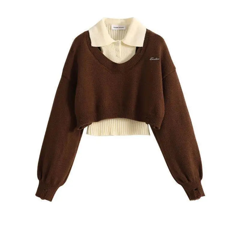 Fashion Women Short Sweater Women's Autumn Winter Wear Two-Piece Set Knitted Sweater And Vest Top outfit knitted Pullover Shirt