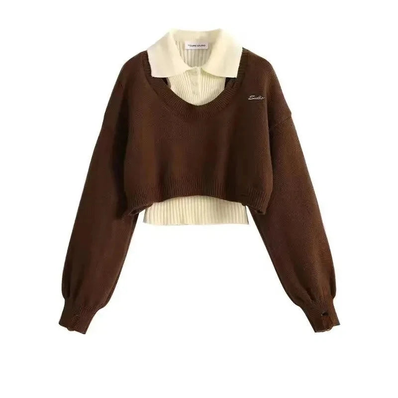 Fashion Women Short Sweater Women's Autumn Winter Wear Two-Piece Set Knitted Sweater And Vest Top outfit knitted Pullover Shirt