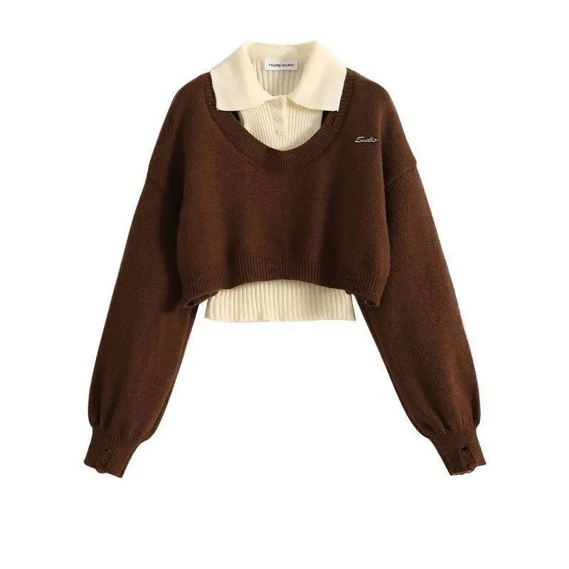 Fashion Women Short Sweater Women's Autumn Winter Wear Two-Piece Set Knitted Sweater And Vest Top outfit knitted Pullover Shirt